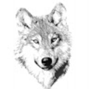 Meet your Posher, Tackett